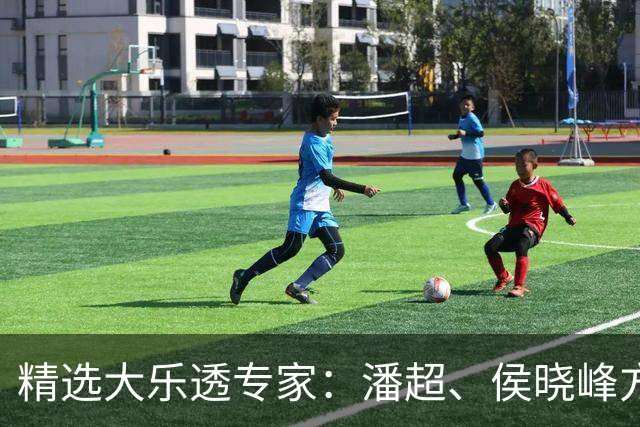 精选大乐透专家：潘超、侯晓峰方案同中748万