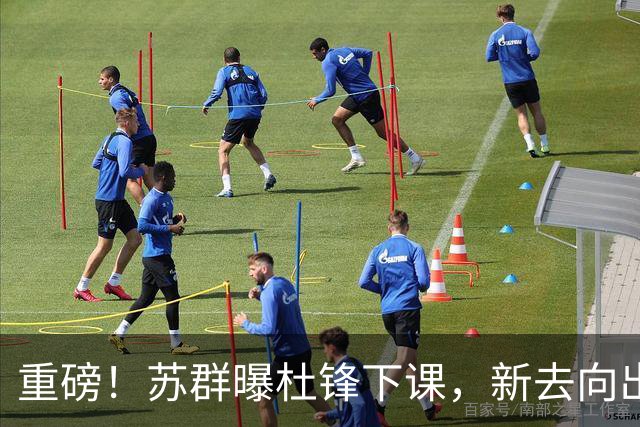 重磅！苏群曝杜锋下课，新去向出炉，球迷喊话杨鸣接手，能行吗？